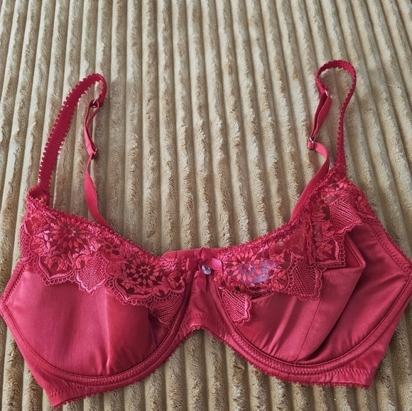 Savage x Fenty Mosaic Embroidery lace half-cup bra in red 34 DD - Picture 3 of 8